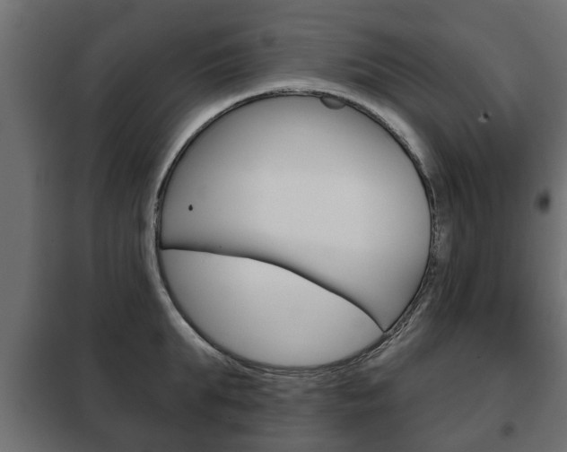X0000102460903200808080942