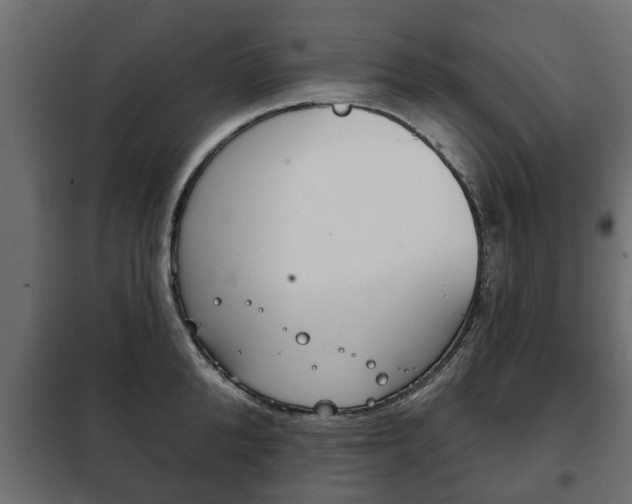 X0000102460904200808080942