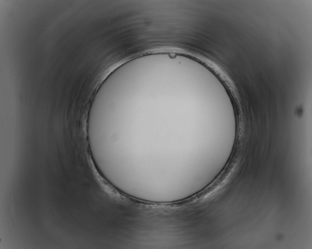X0000102460905200808080942
