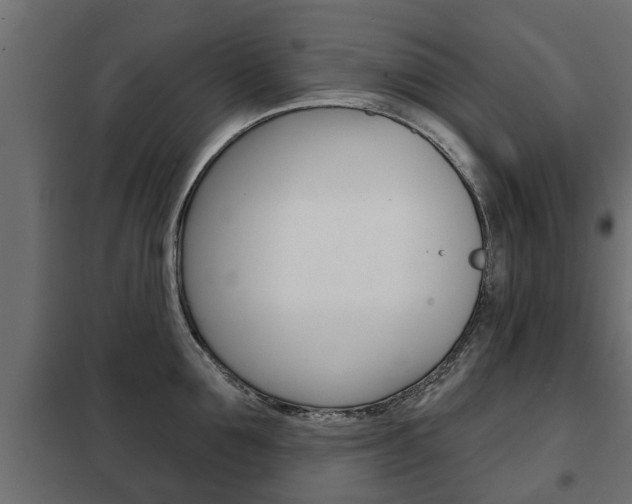 X0000102460907200808080942