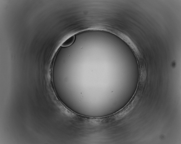 X0000102460908200808080942