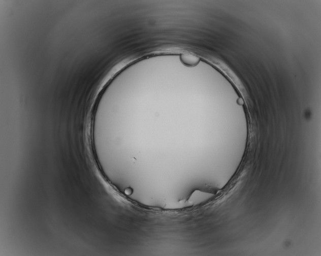 X0000102460909200808080942