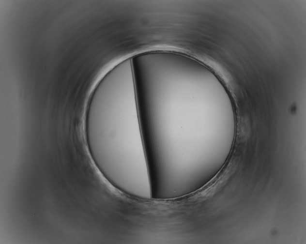 X0000102460910200808080942