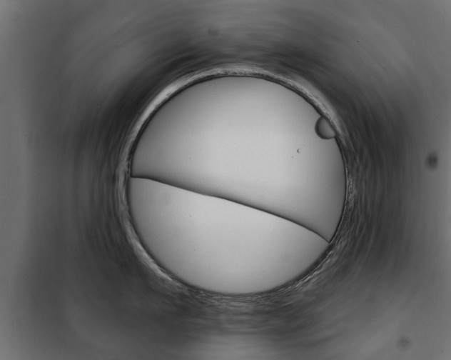 X0000102460911200808080941