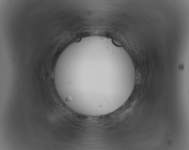 X0000102460913200808080941