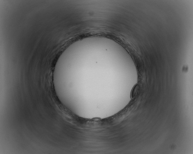 X0000102460914200808080941