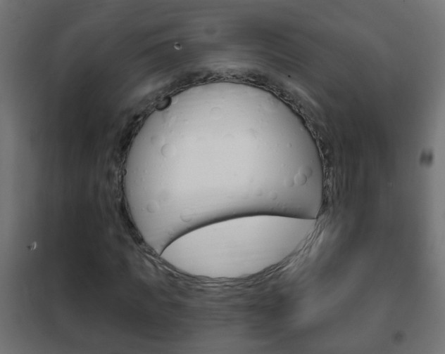 X0000102460917200808080941