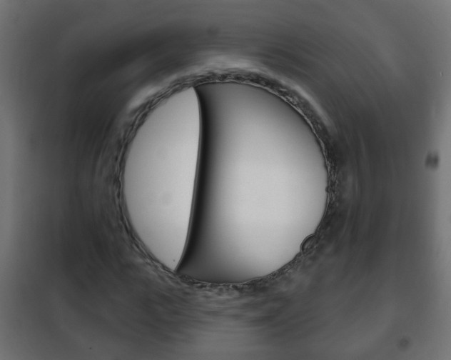 X0000102460919200808080941