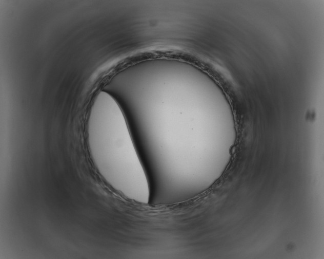 X0000102460920200808080941