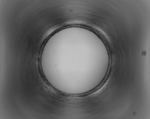 X0000102460921200808080941