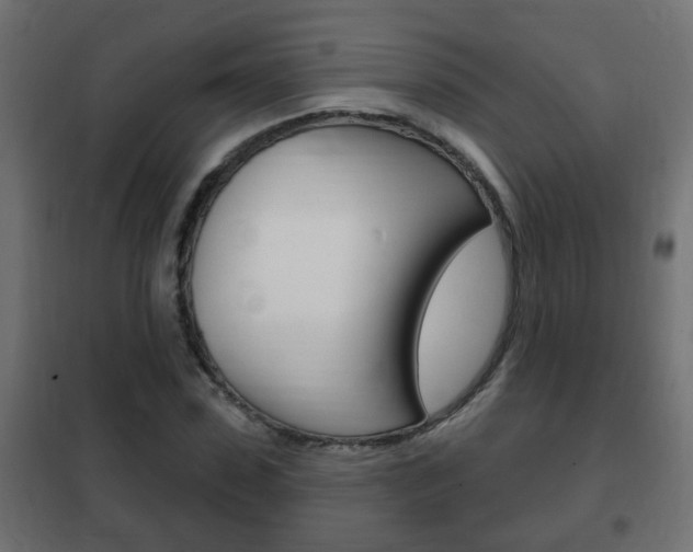 X0000102460923200808080941