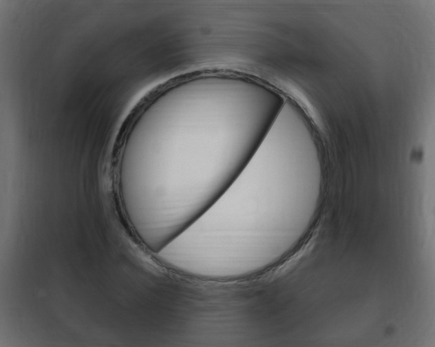 X0000102460924200808080941