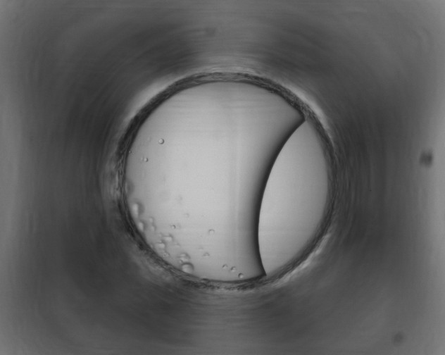 X0000102460925200808080941