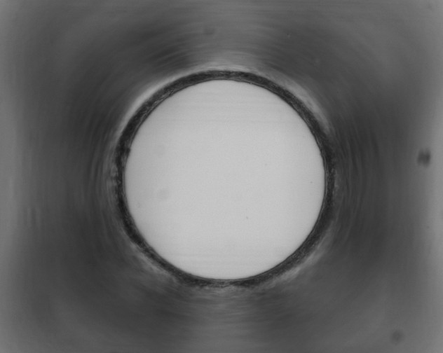 X0000102460926200808080941