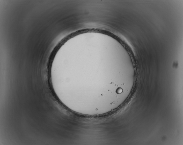 X0000102460927200808080941