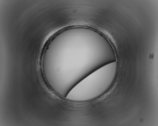 X0000102460928200808080941