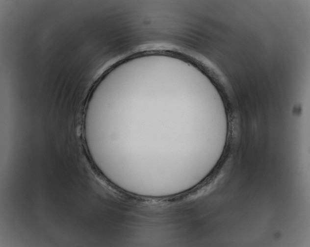X0000102460929200808080941