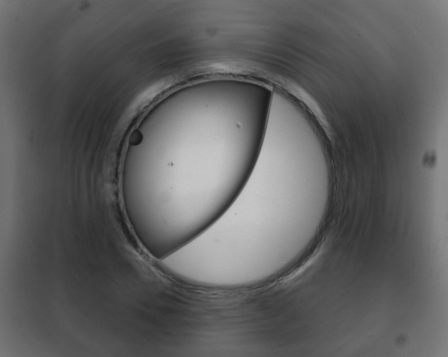 X0000102460930200808080941