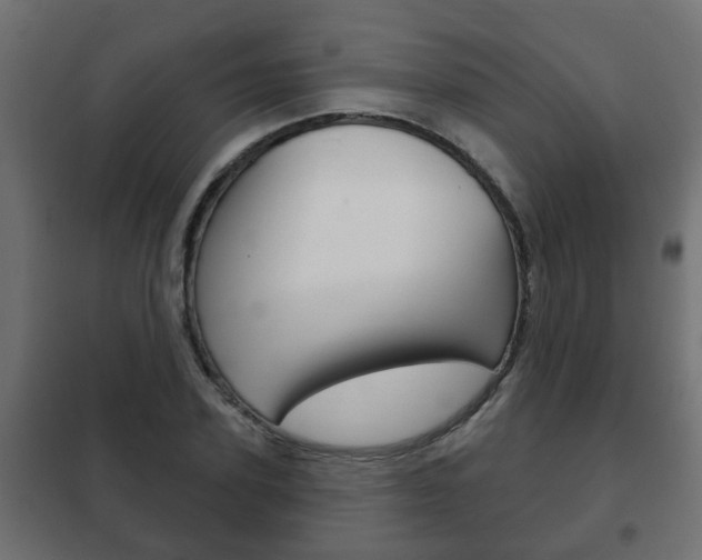 X0000102460931200808080941