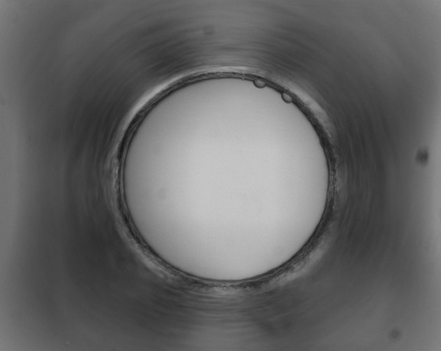 X0000102460933200808080941