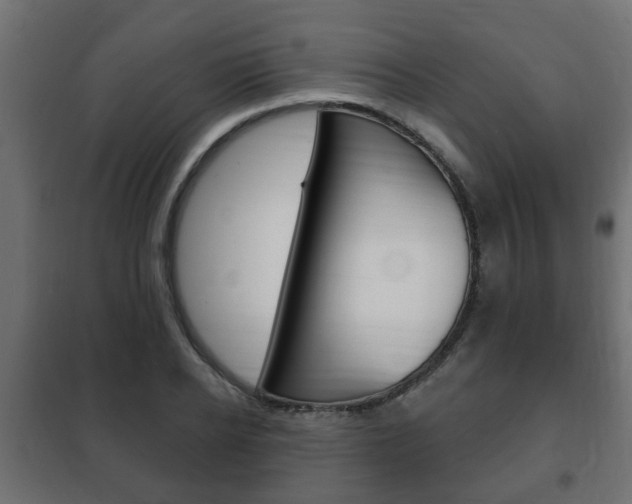 X0000102460934200808080941