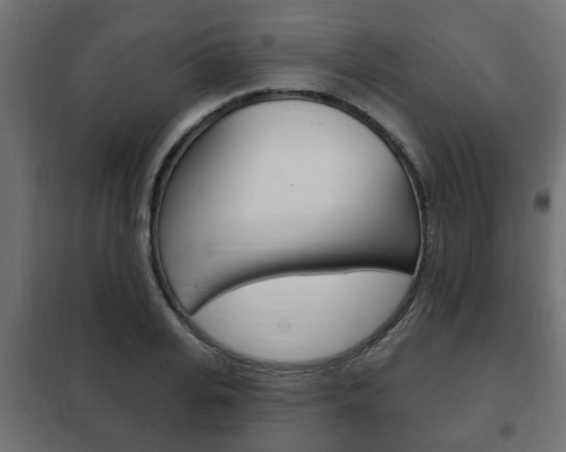 X0000102460935200808080941