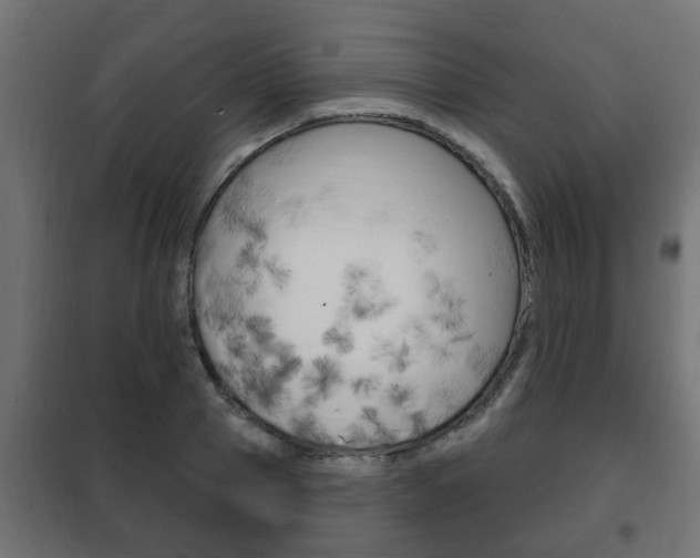 X0000102460937200808080941