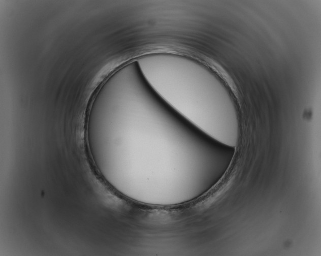 X0000102460938200808080941