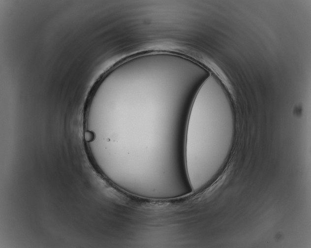 X0000102460939200808080941