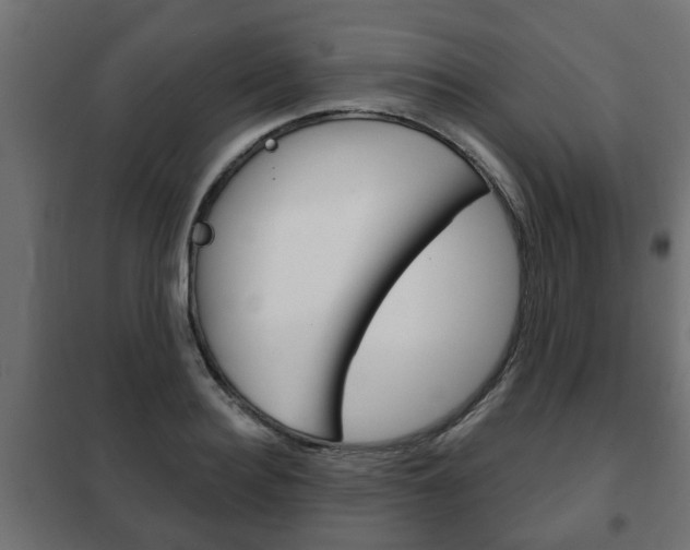 X0000102460940200808080941