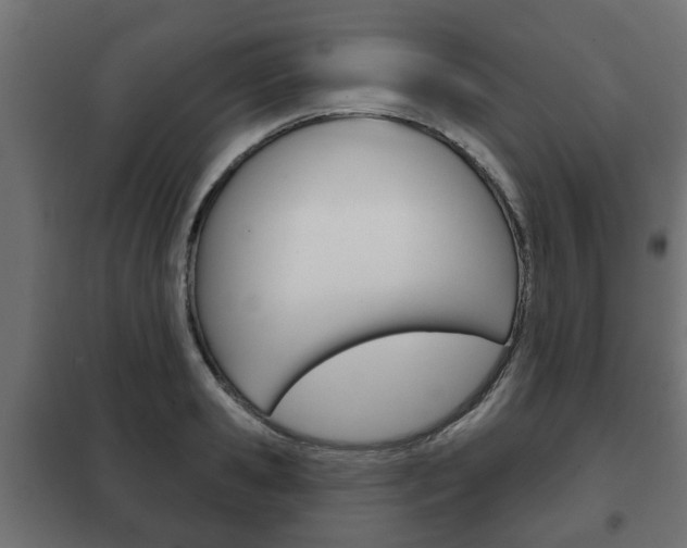 X0000102460941200808080941