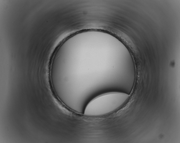 X0000102460942200808080941