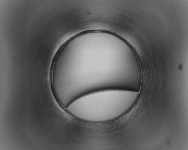 X0000102460943200808080941