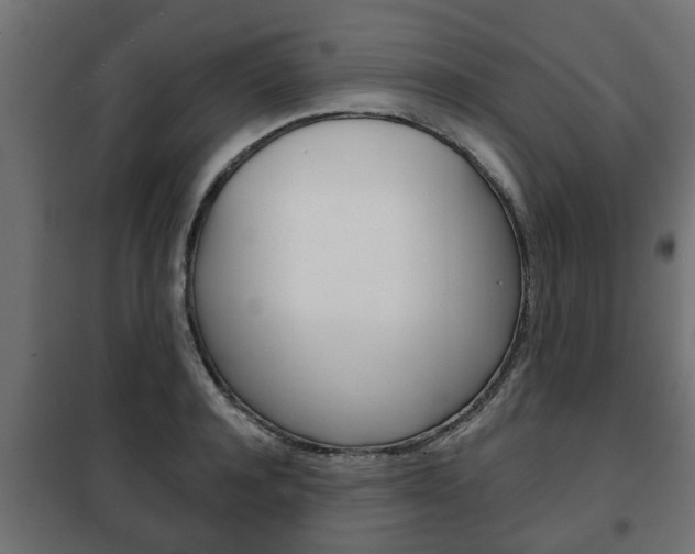 X0000102460944200808080941