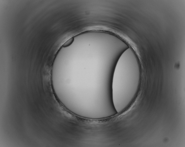 X0000102460945200808080941
