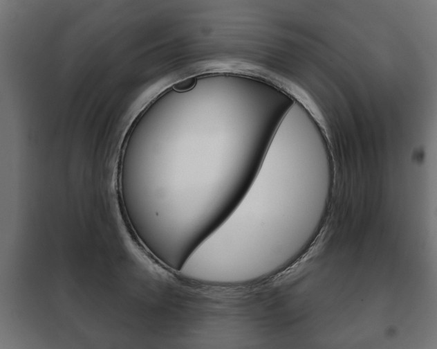 X0000102460946200808080941