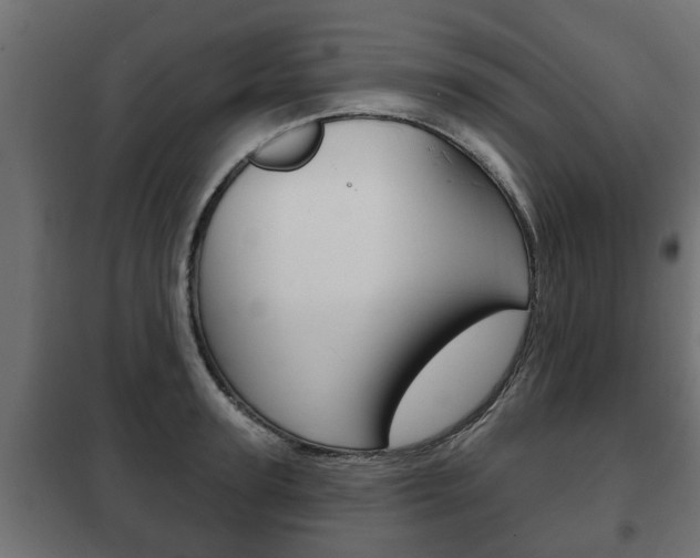 X0000102460947200808080941