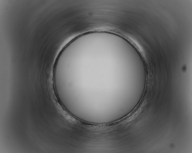 X0000102460948200808080941