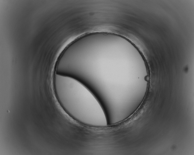 X0000102460949200808080941