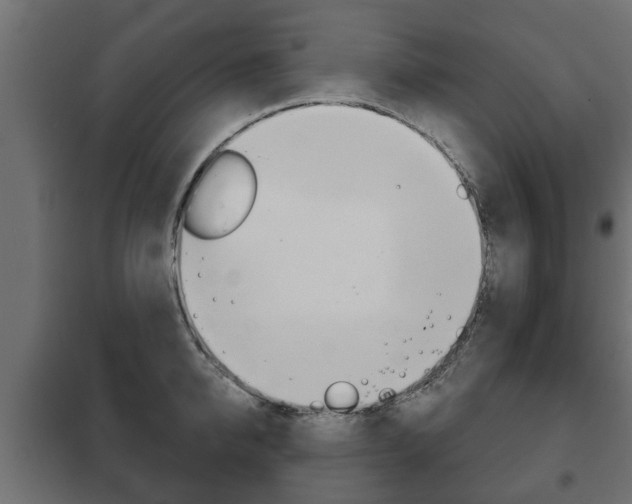 X0000102460950200808080941