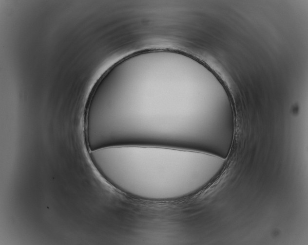 X0000102460951200808080941