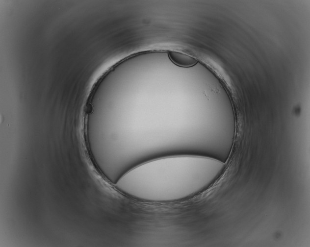 X0000102460952200808080941