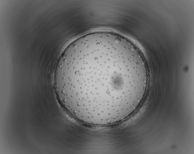 X0000102460953200808080941