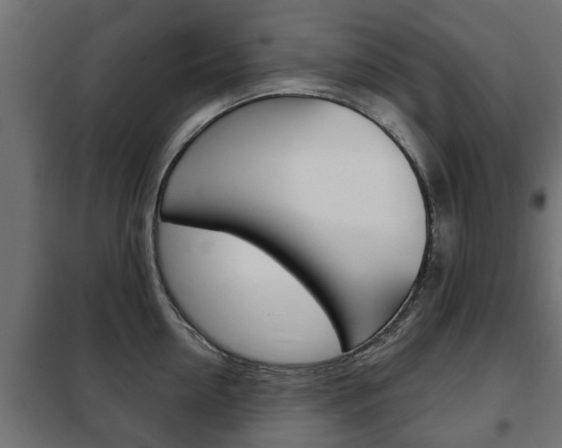 X0000102460954200808080941