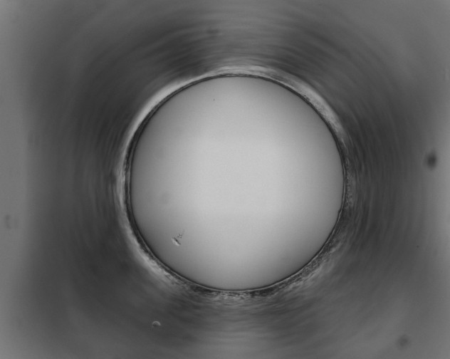 X0000102460955200808080941