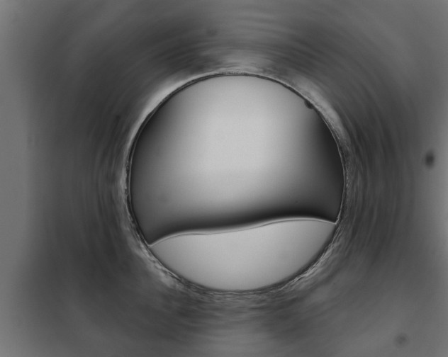 X0000102460956200808080941