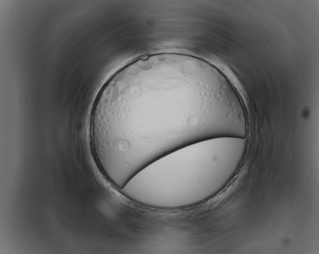 X0000102460957200808080941