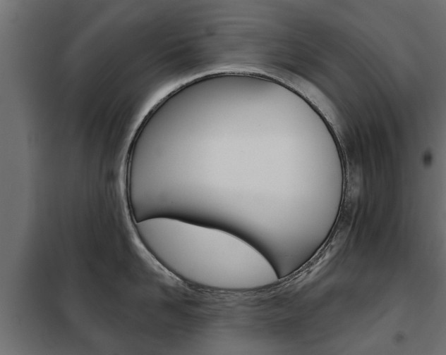X0000102460958200808080941