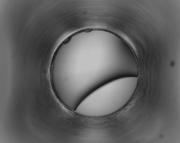 X0000102460959200808080941