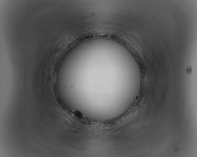 X0000102460961200808080941